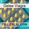 Jelly Viagra cialis2